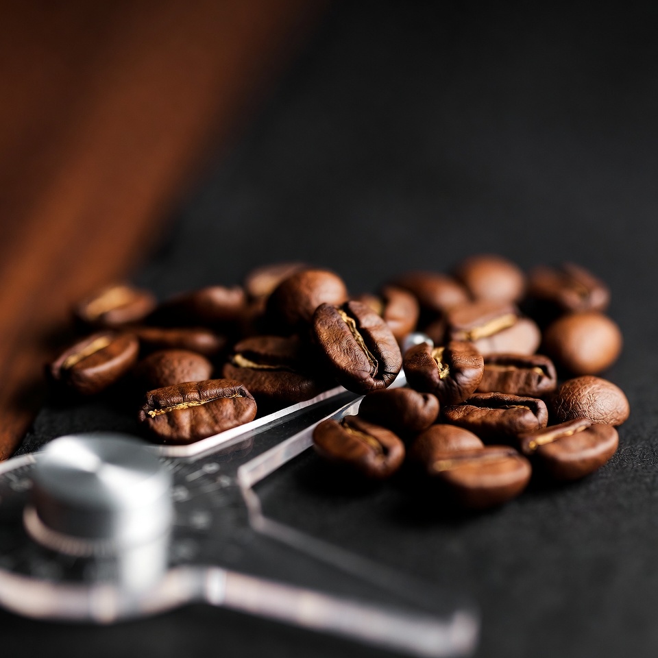 Liberica Coffee Beans